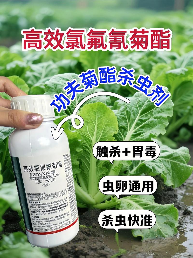 儋州代生中心:农药对供卵代生妈妈的危害